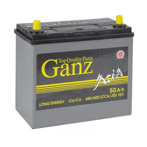 Батарея аккумуляторная GANZ GAA501 ASIA 50А/ч 480А 12V Прямая полярн. тонкие вынос. (Азия) клеммы